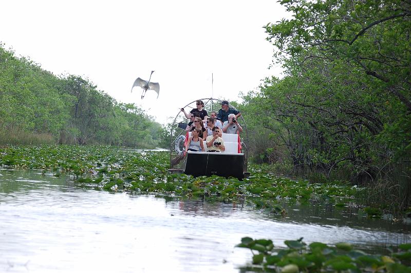 500. everglades.JPG